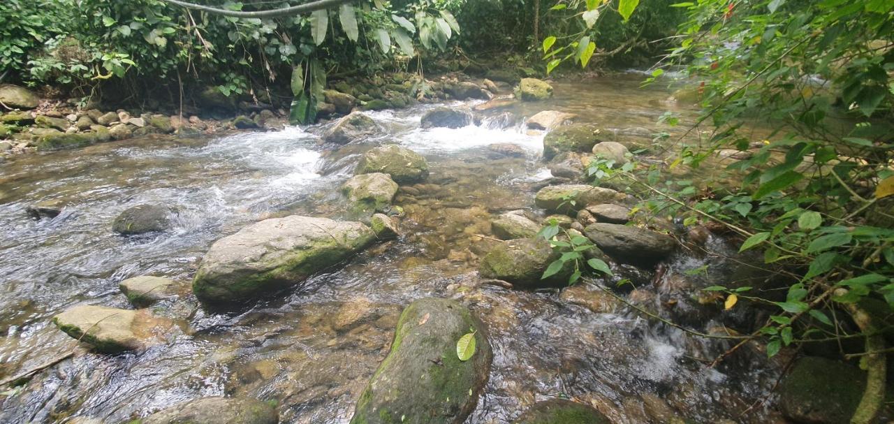 Casa da Josie em Maresias com piscina no pé da Mata Atlântica - 4 quartos Extérieur photo