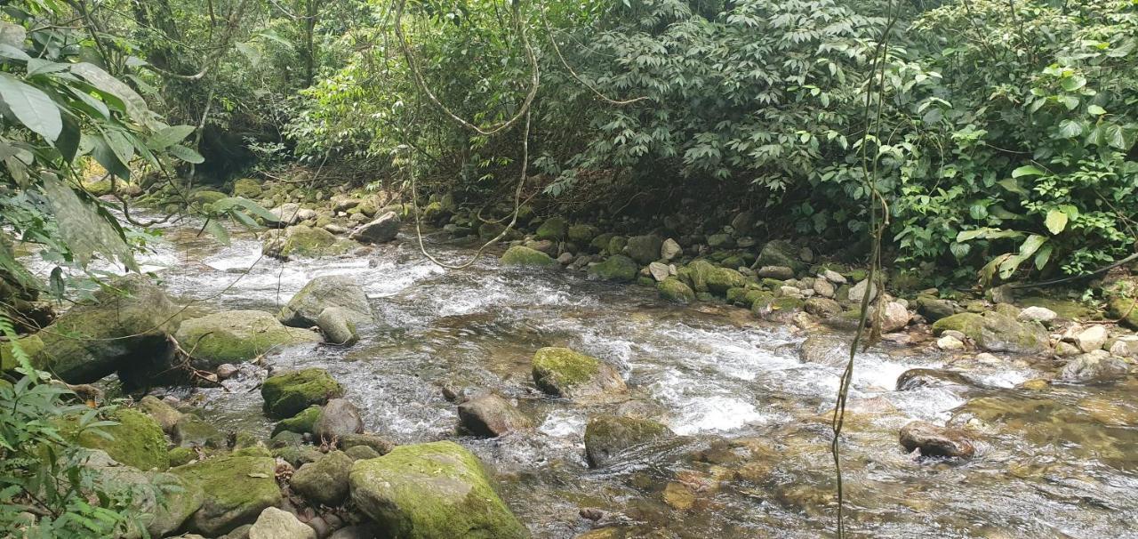 Casa da Josie em Maresias com piscina no pé da Mata Atlântica - 4 quartos Extérieur photo